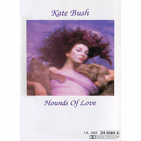 Hounds Of Love