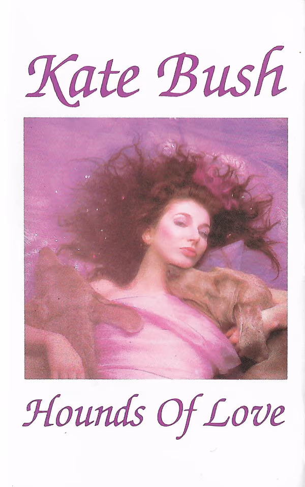 Hounds Of Love
