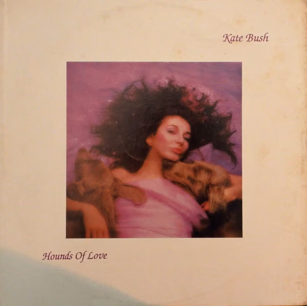Hounds Of Love
