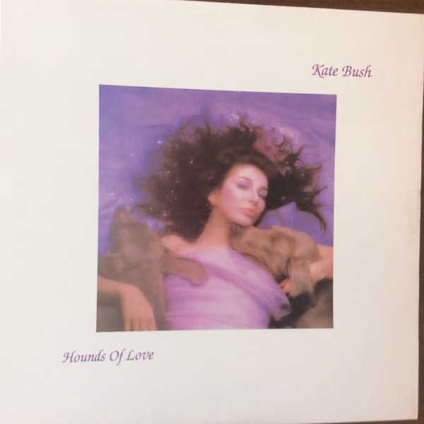 Hounds Of Love