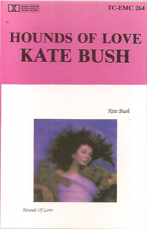 Hounds Of Love