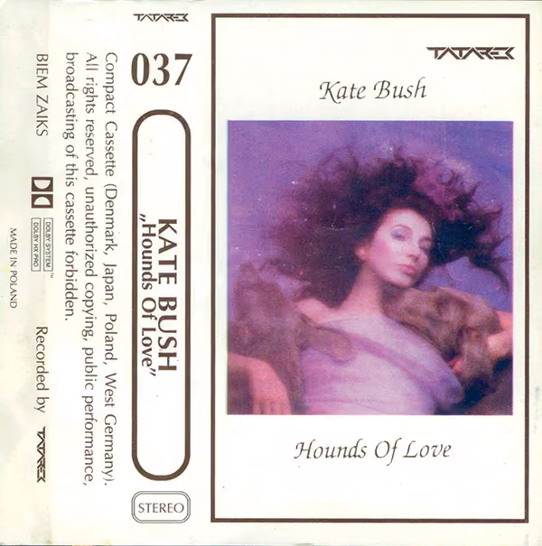 Hounds Of Love