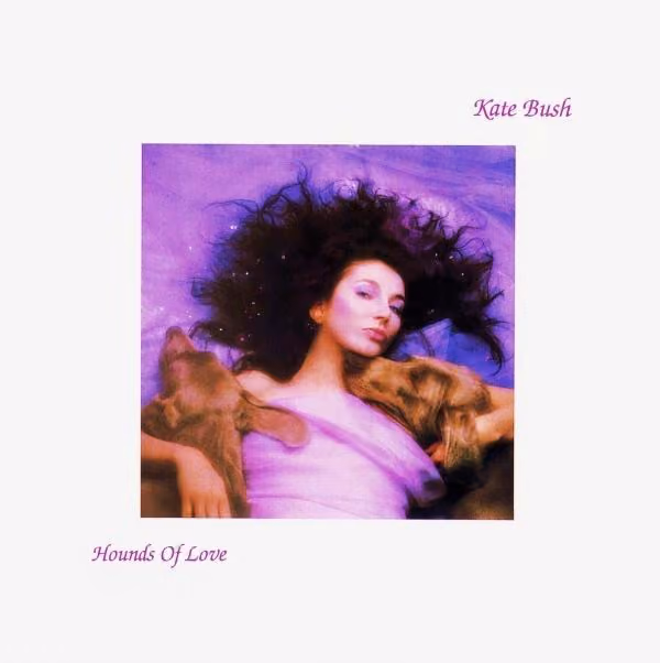 Hounds Of Love