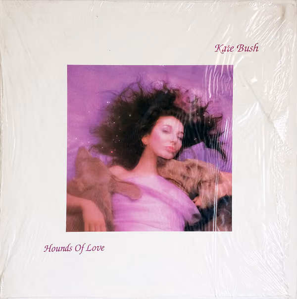 Hounds Of Love
