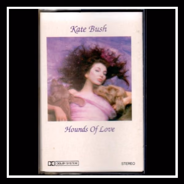 Hounds Of Love
