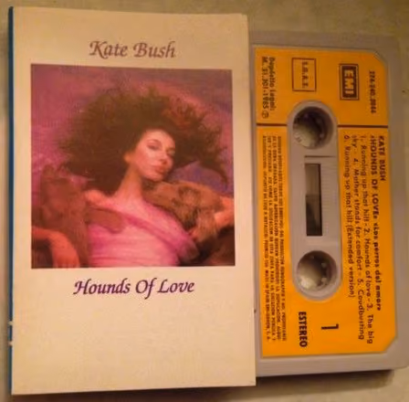 Hounds Of Love