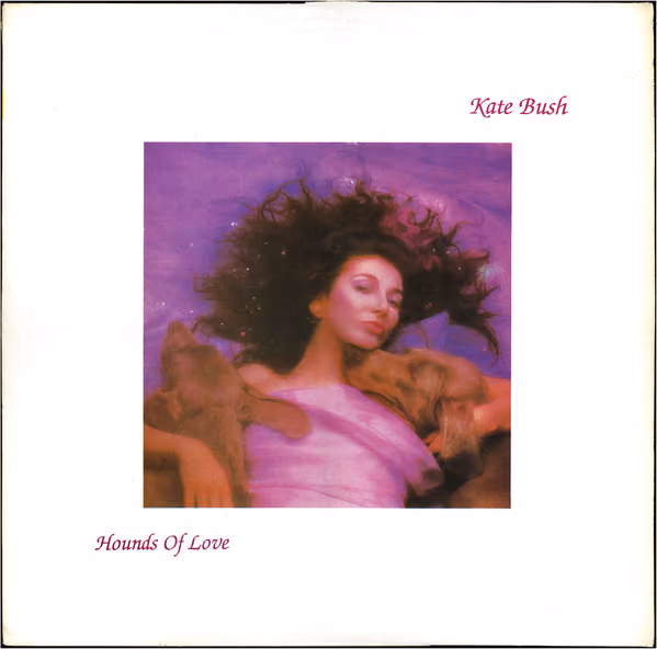 Hounds Of Love