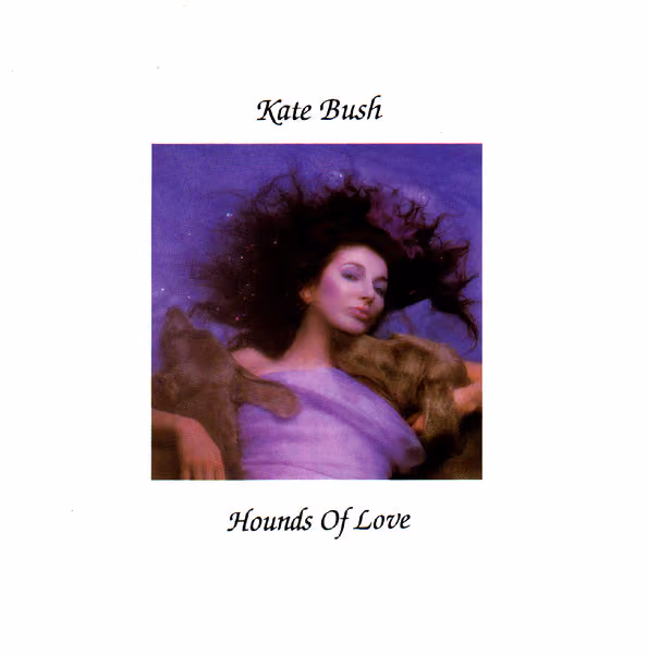 Hounds Of Love