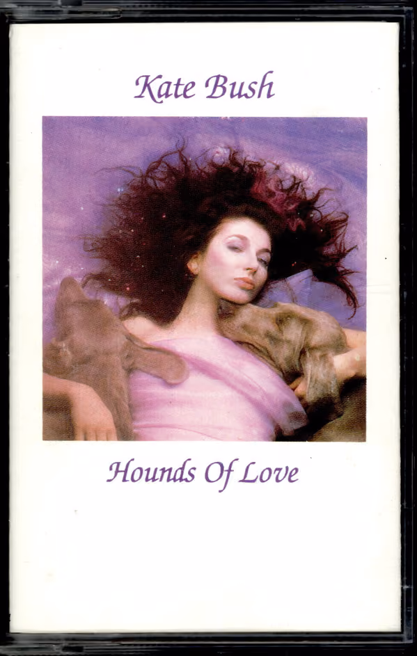 Hounds Of Love