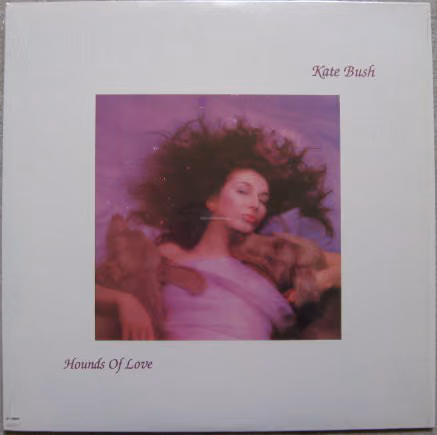 Hounds Of Love