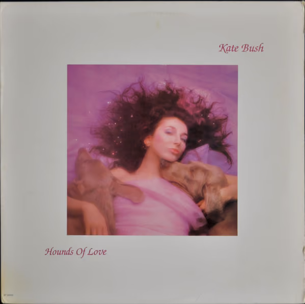 Hounds Of Love