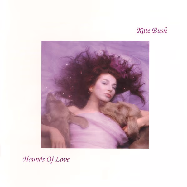 Hounds Of Love