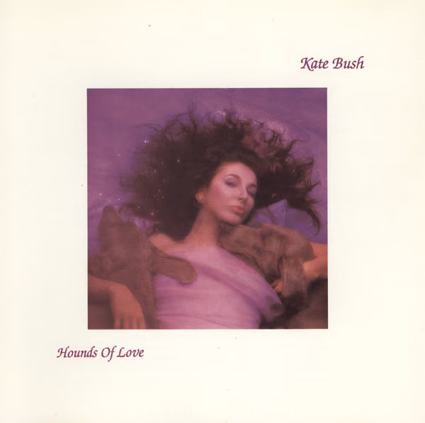 Hounds Of Love