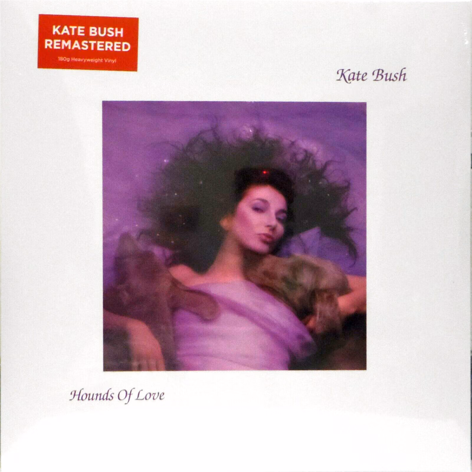 Hounds Of Love