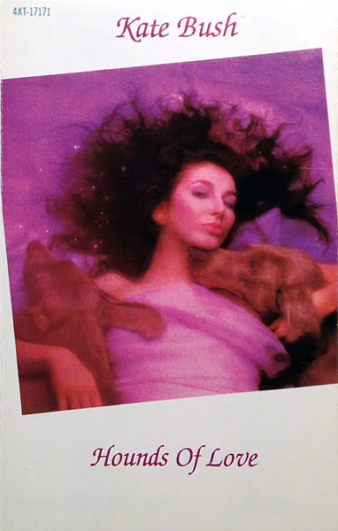 Hounds Of Love