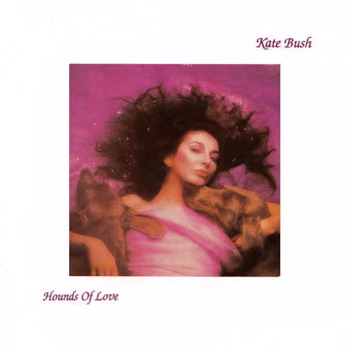 Hounds Of Love