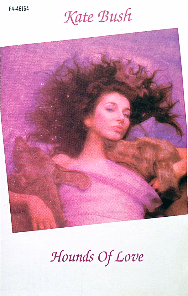 Hounds Of Love