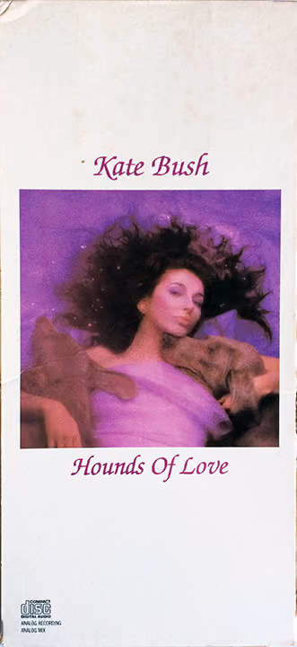 Hounds Of Love
