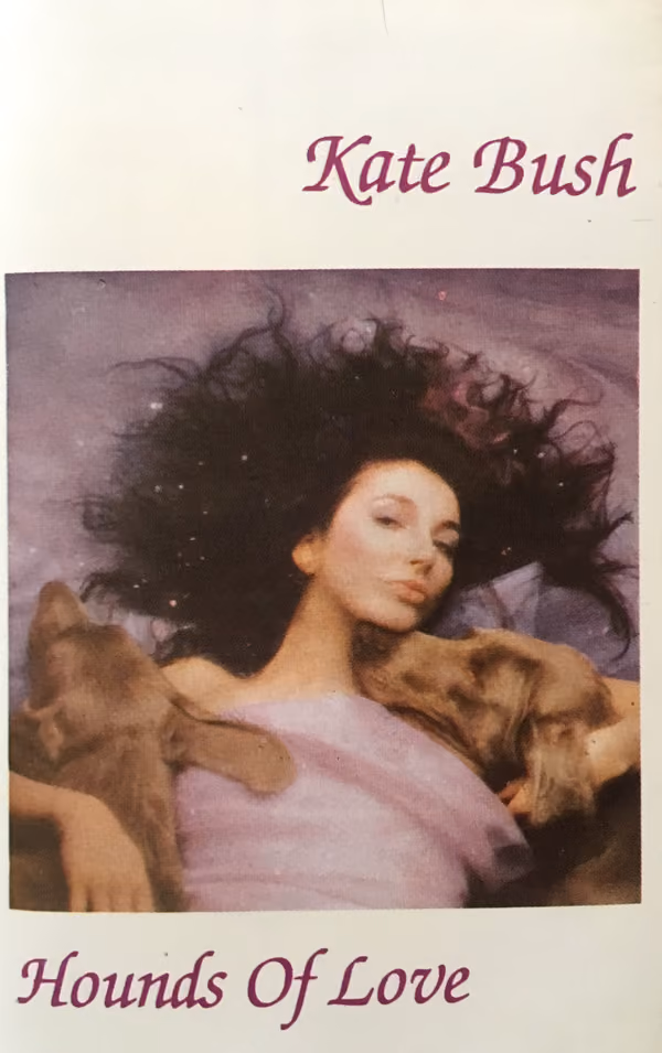 Hounds Of Love