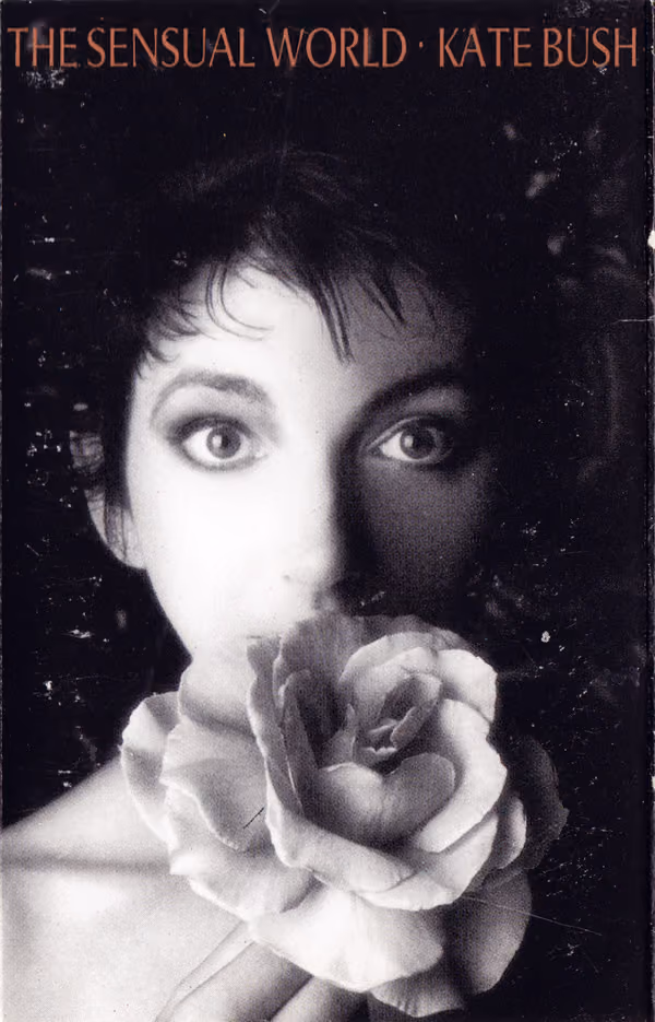 The Sensual World