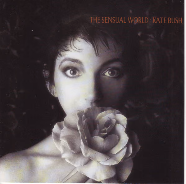 The Sensual World