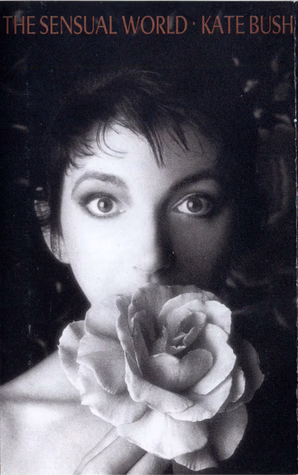 The Sensual World