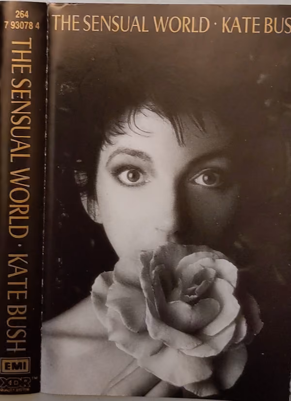 The Sensual World