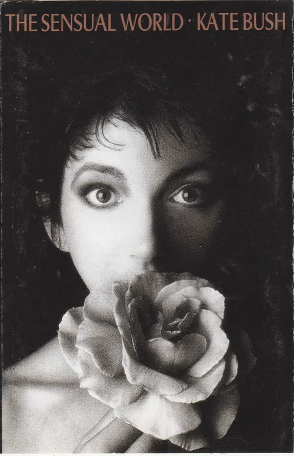 The Sensual World