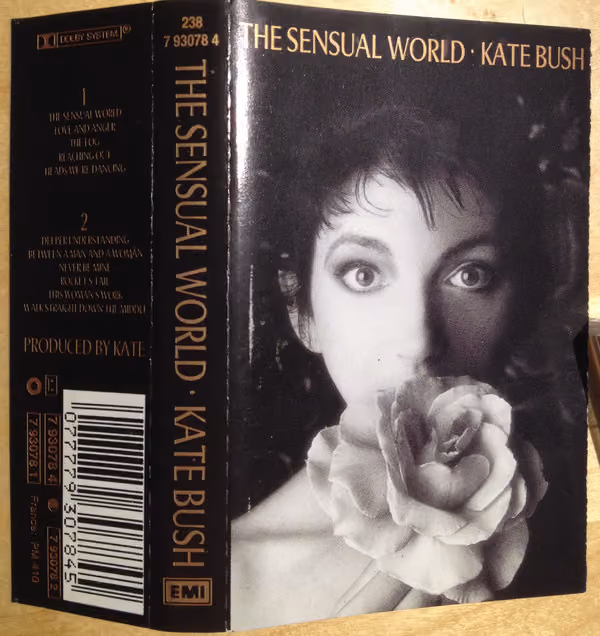 The Sensual World