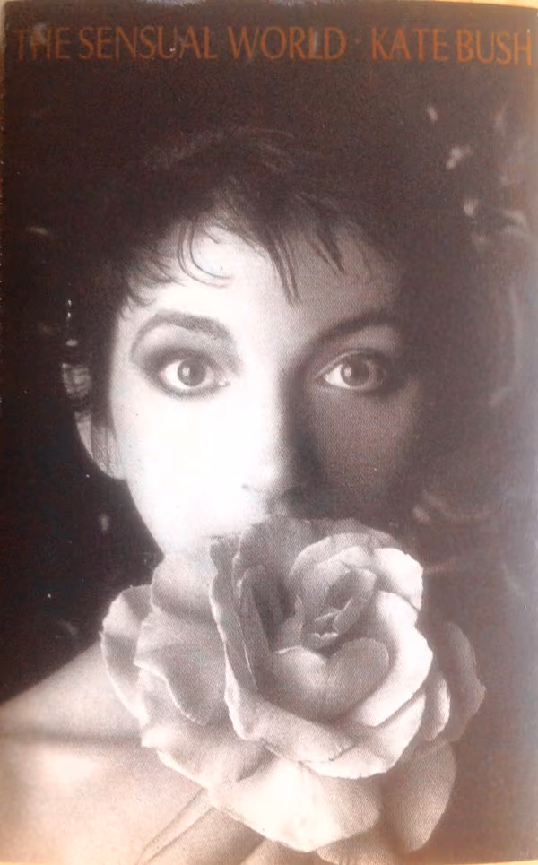 The Sensual World