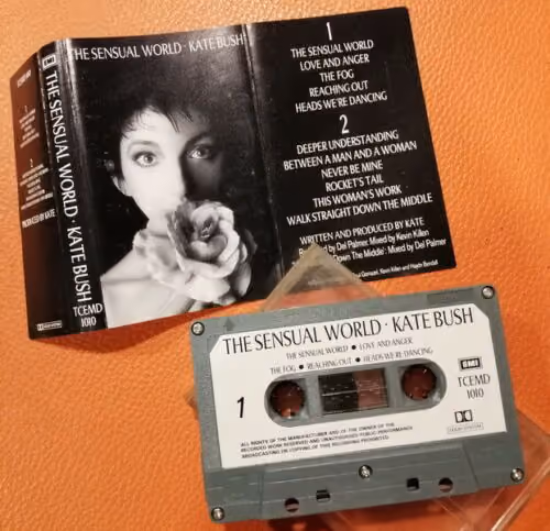 The Sensual World