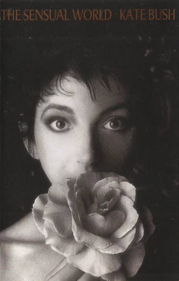 The Sensual World