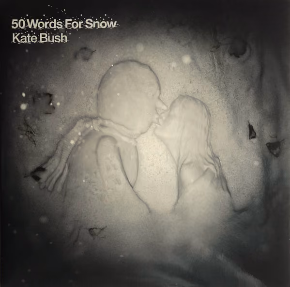 50 Words For Snow