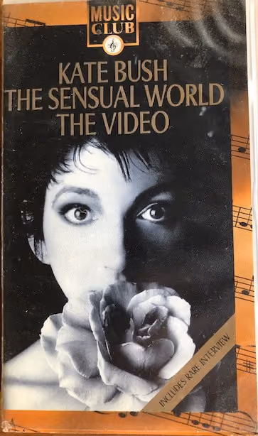 The Sensual World - The Video