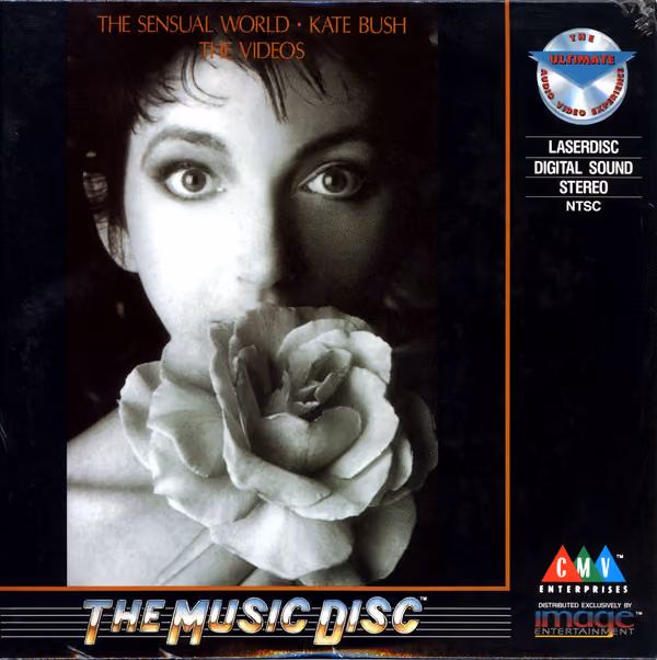 The Sensual World (The Videos)