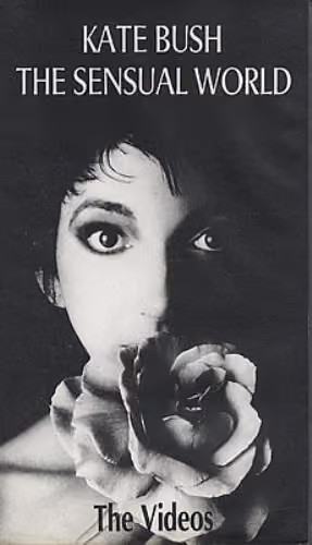 The Sensual World - The Videos