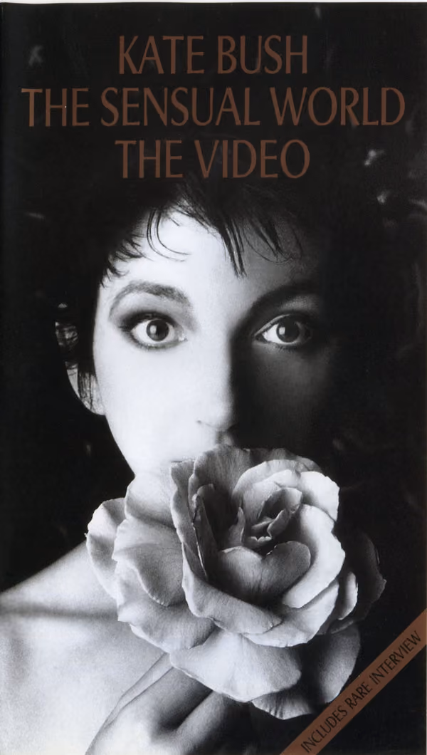 The Sensual World - The Video
