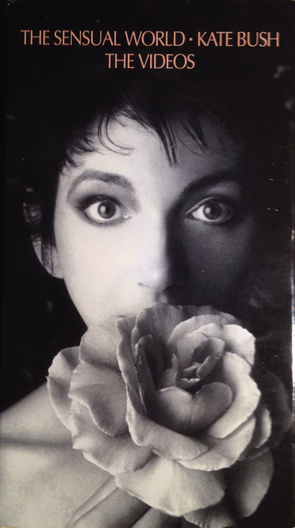 The Sensual World - The Videos
