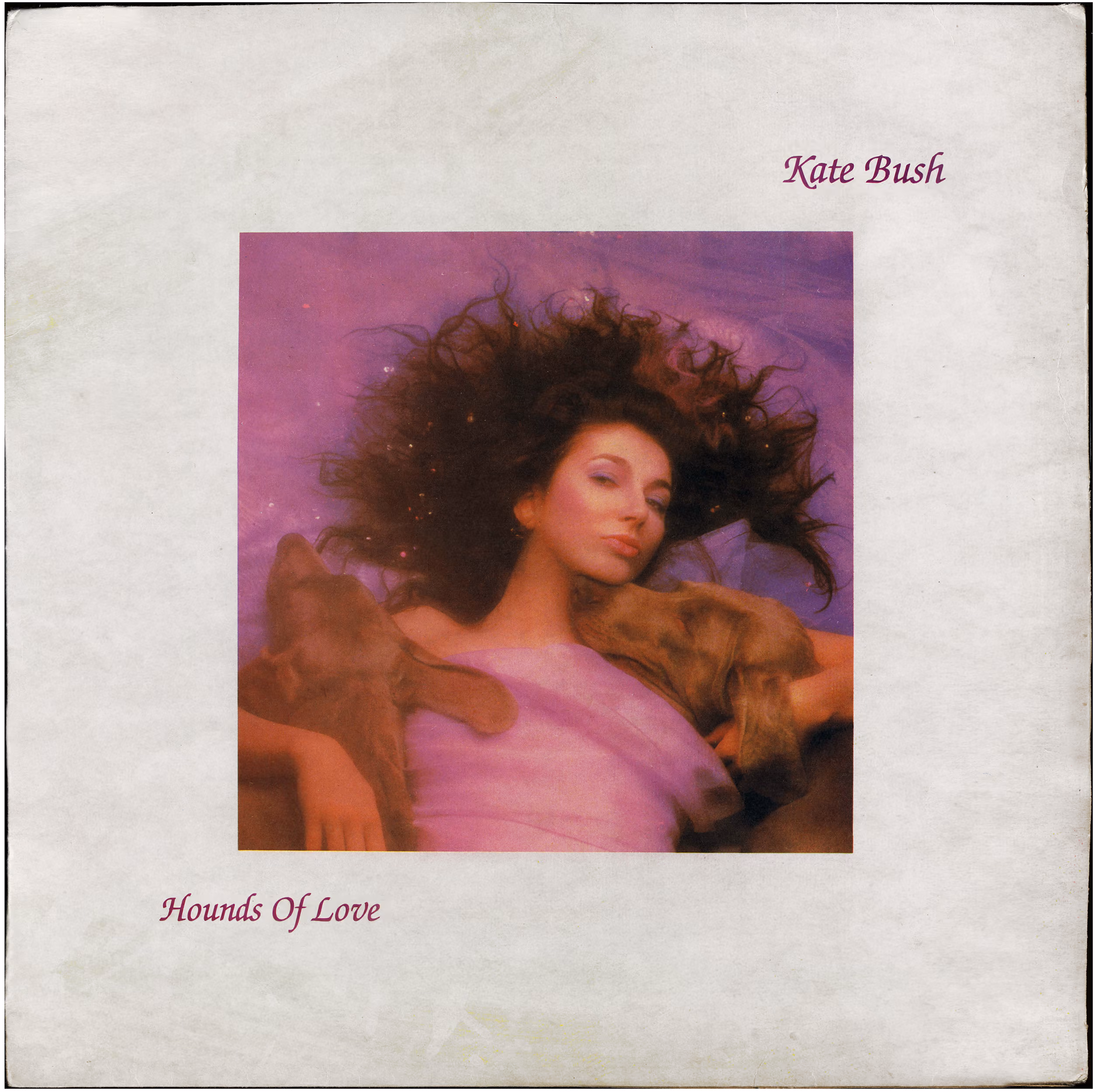 Hounds Of Love