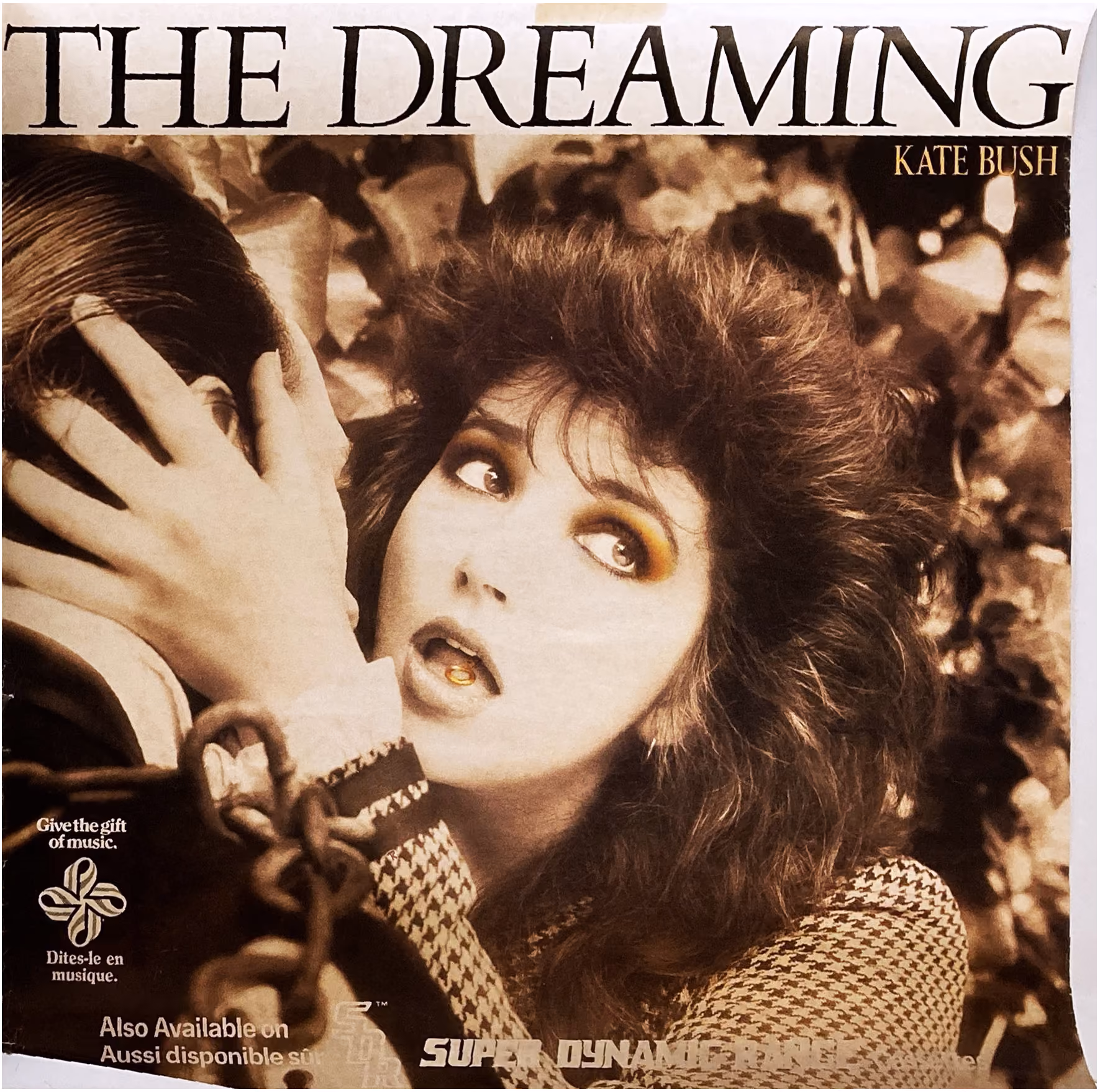 'The Dreaming' Album Poster