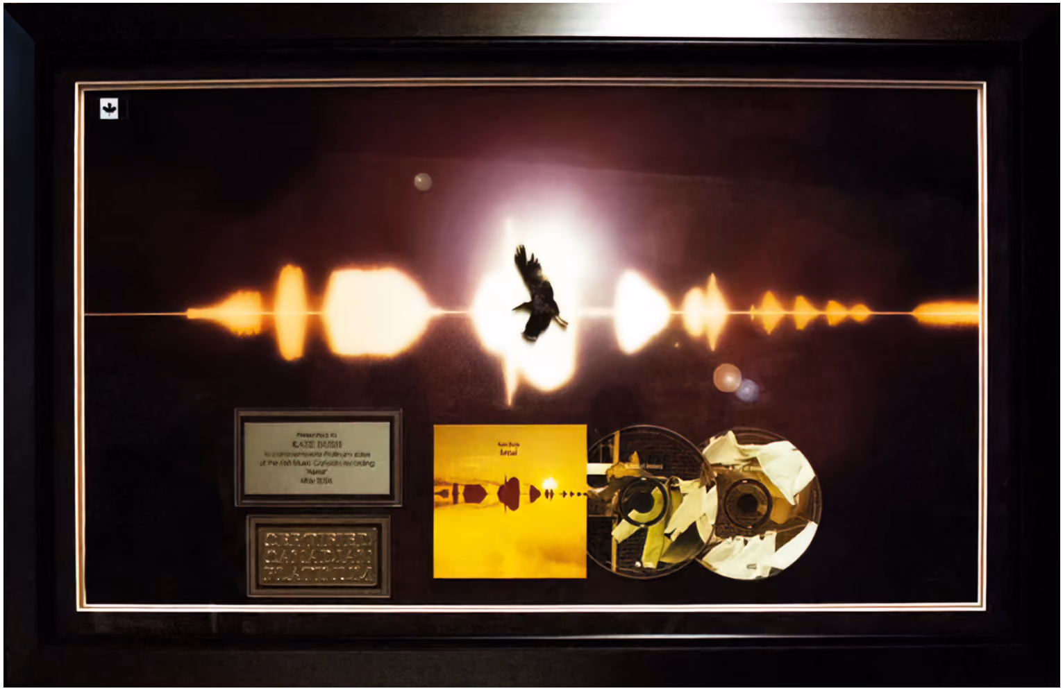 'Aerial' Platinum Sales Award