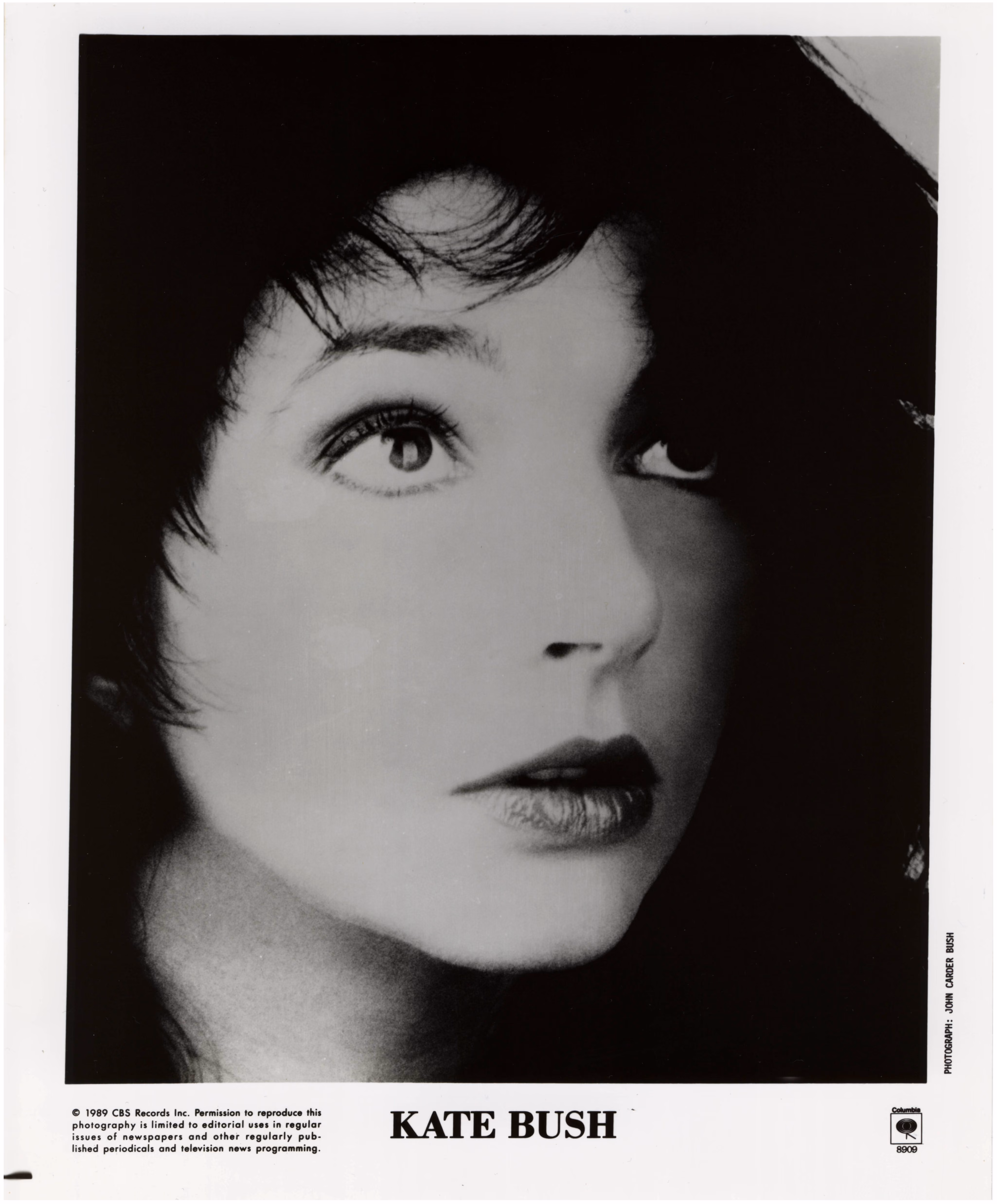 'The Sensual World' Photograph