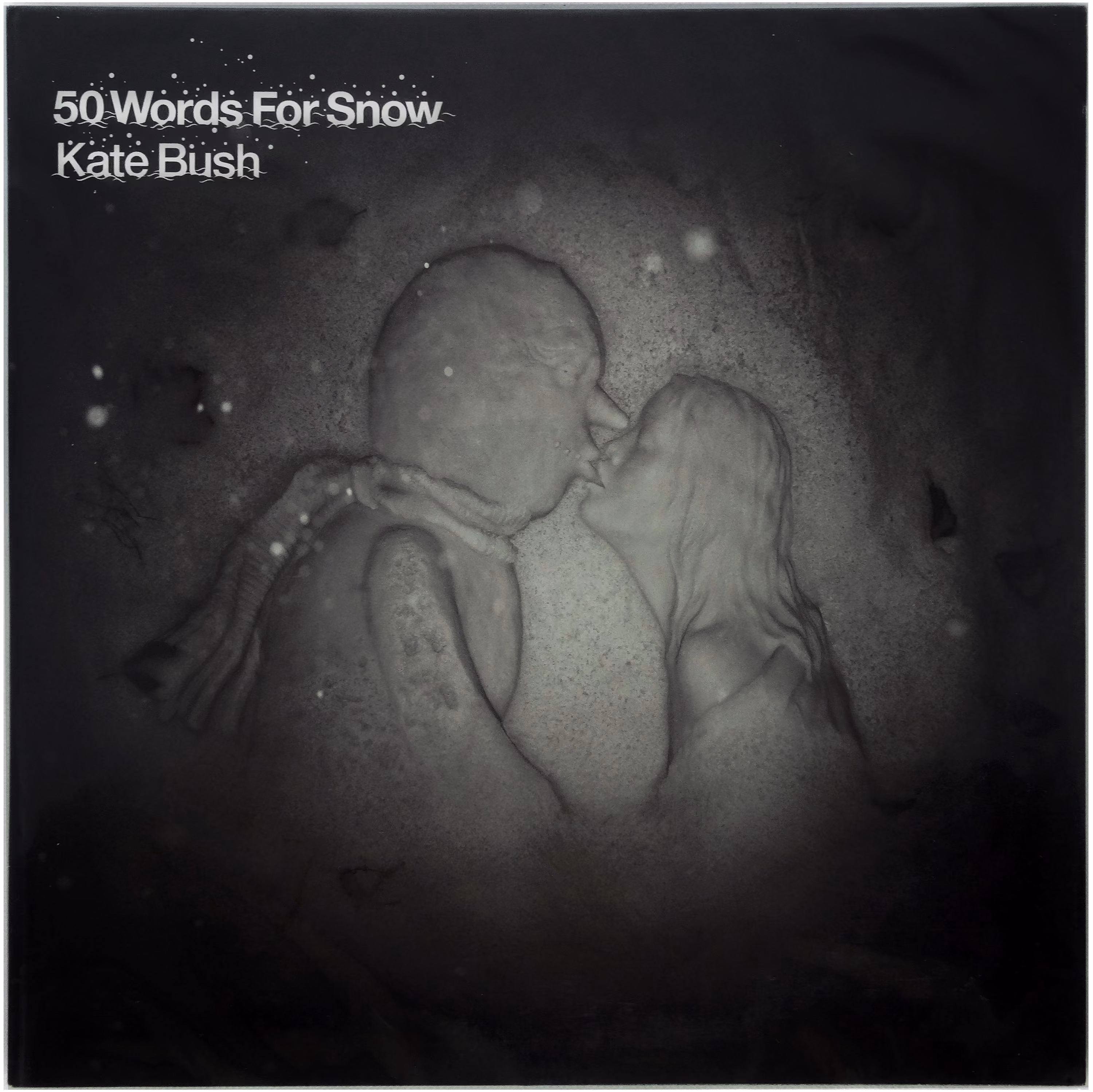 50 Words For Snow