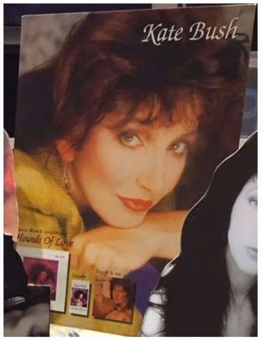 'Hounds Of Love' Counter Display