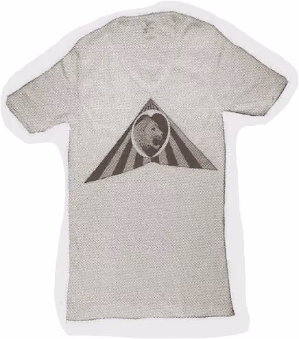 'Lionheart' T-Shirt