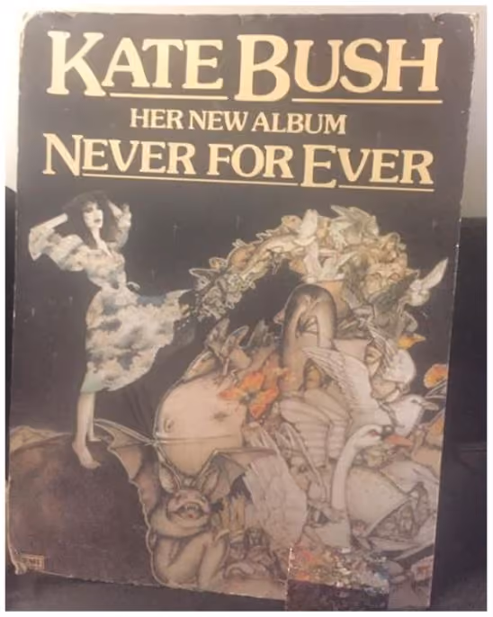 'Never For Ever' Counter Display