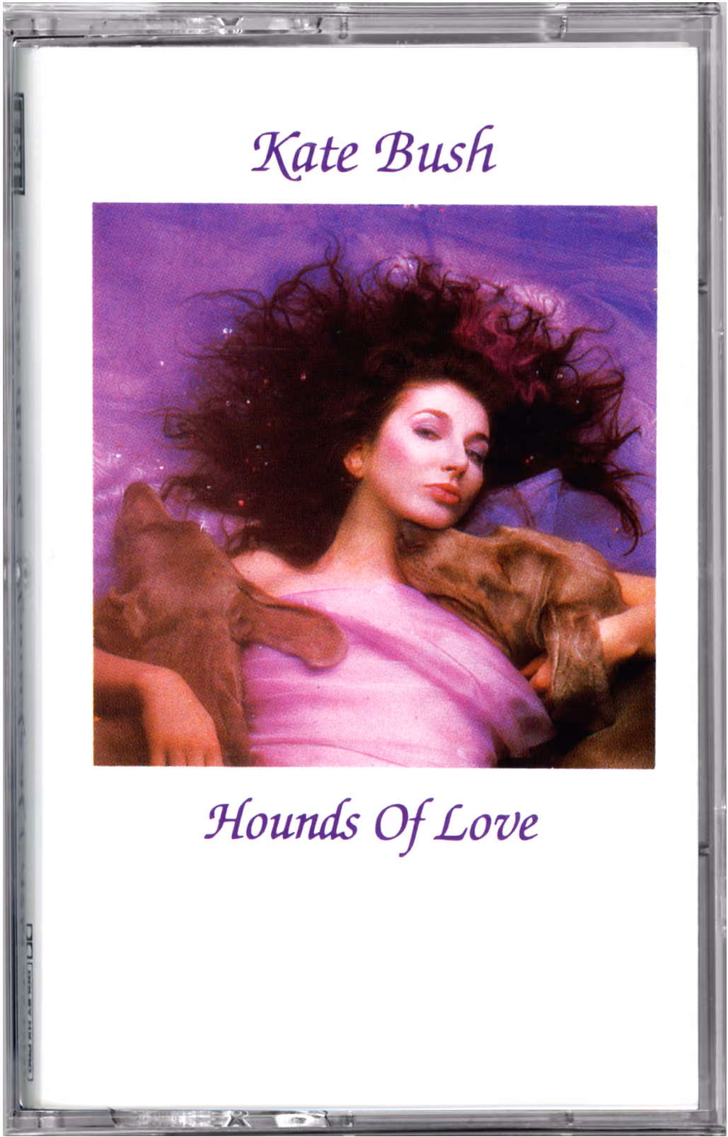 Hounds Of Love