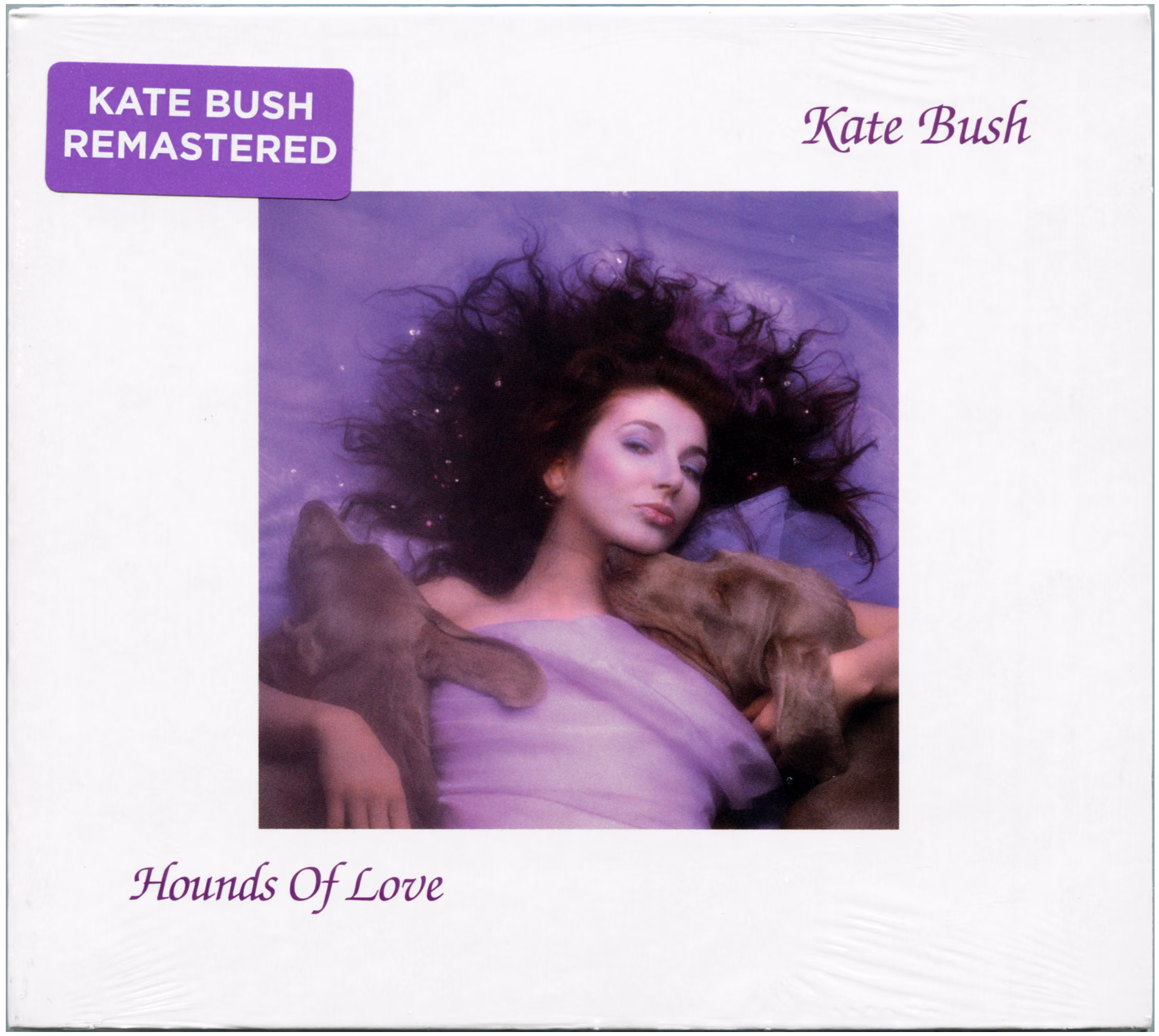 Hounds Of Love