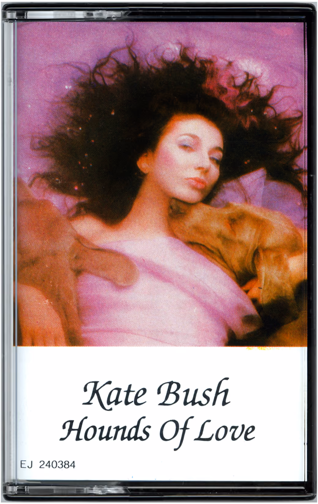 Hounds Of Love
