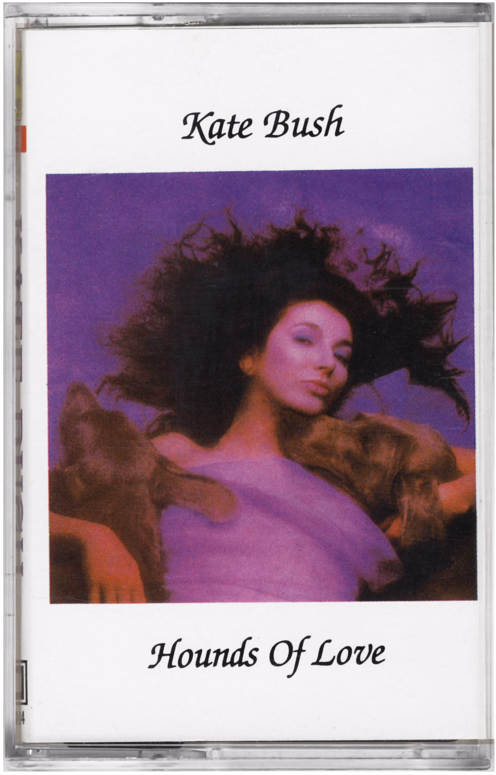 Hounds Of Love